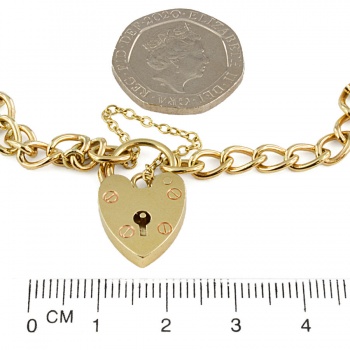 9ct gold 10.1g Charm Bracelet